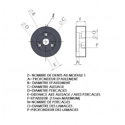 PIGNON SUR MESURE