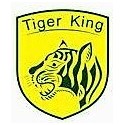 MOTEURS TIGER KING